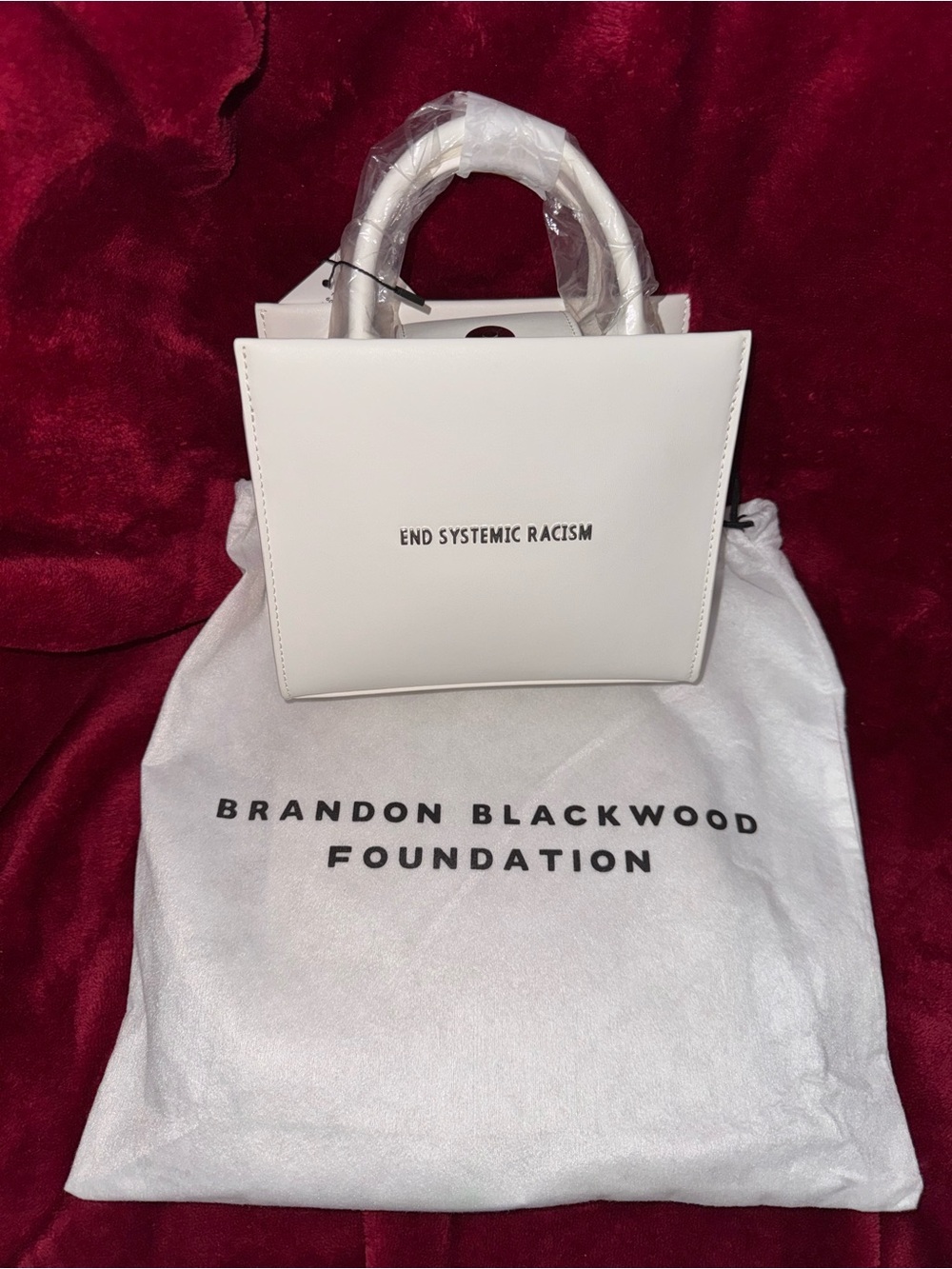 Brandon Blackwood ESR (End Systemic Racism) Tote Cloud White NWT. Rare find